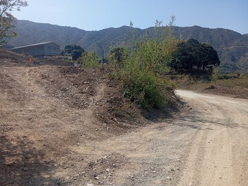 Plot Area in  Plot at Bhogpur – for Sale