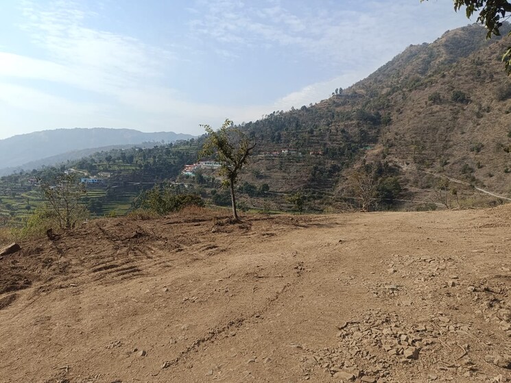 undefined, bhogpur  100 Sq.Yd. Plot In Bhogpur Dehradun 8357450