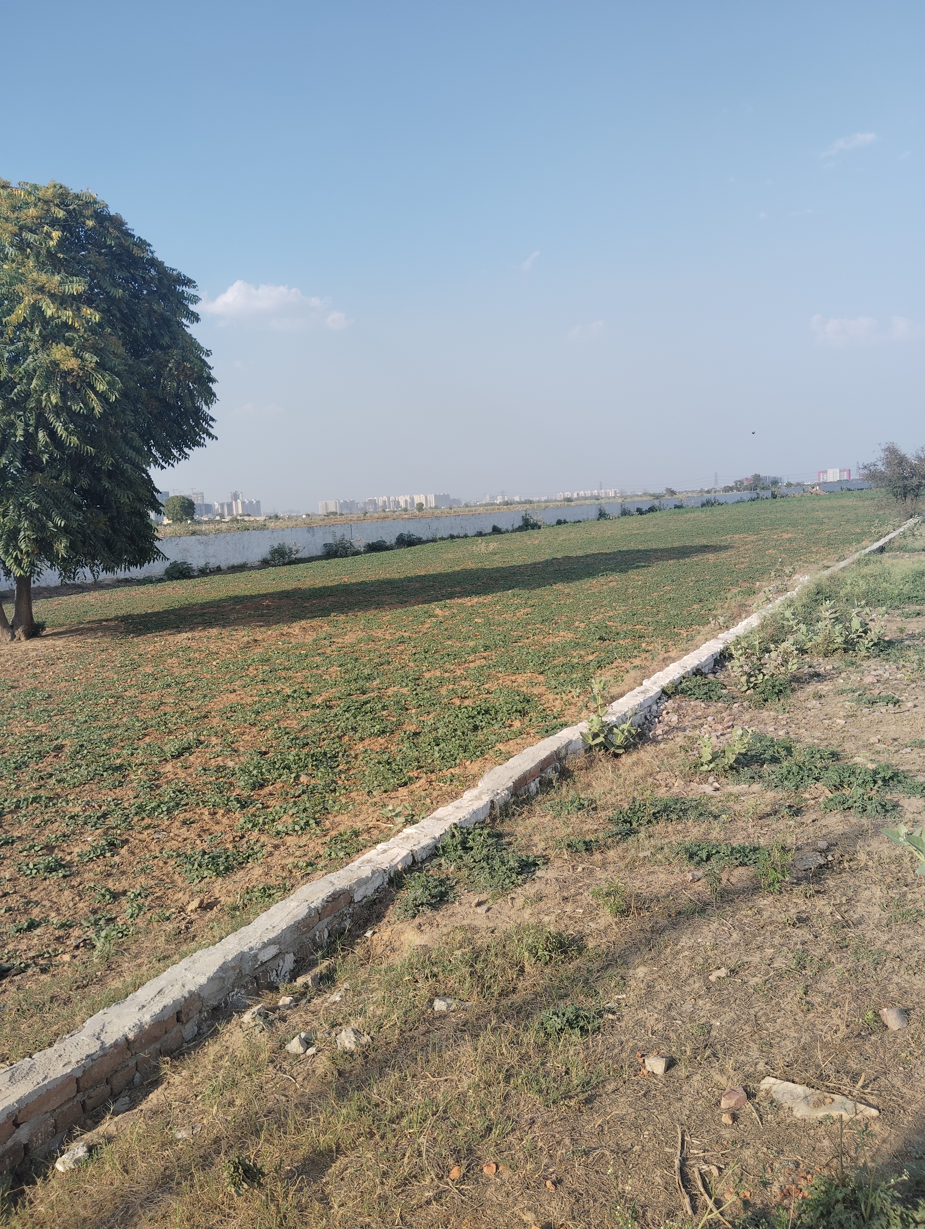 Plot For Sale in Badkhal Village