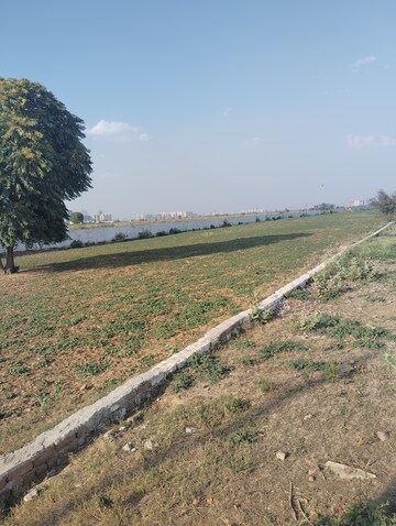 Plot Area in  Plot at Tikawali – for Sale