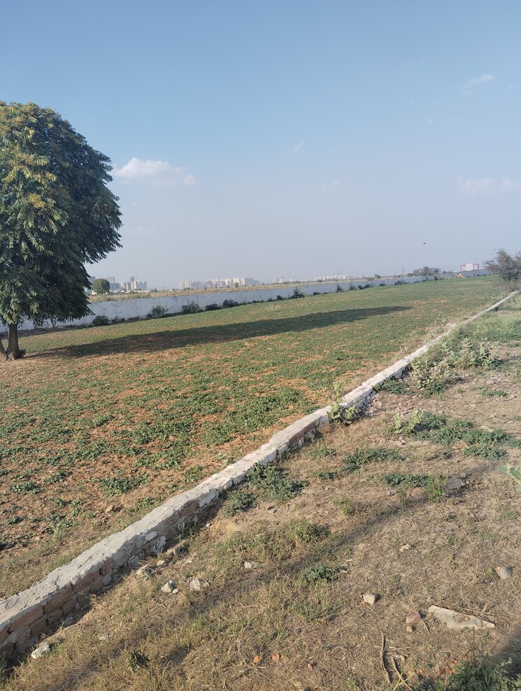 undefined, tikawali  900 Sq.Ft. Plot In Tikawali Faridabad 8357655