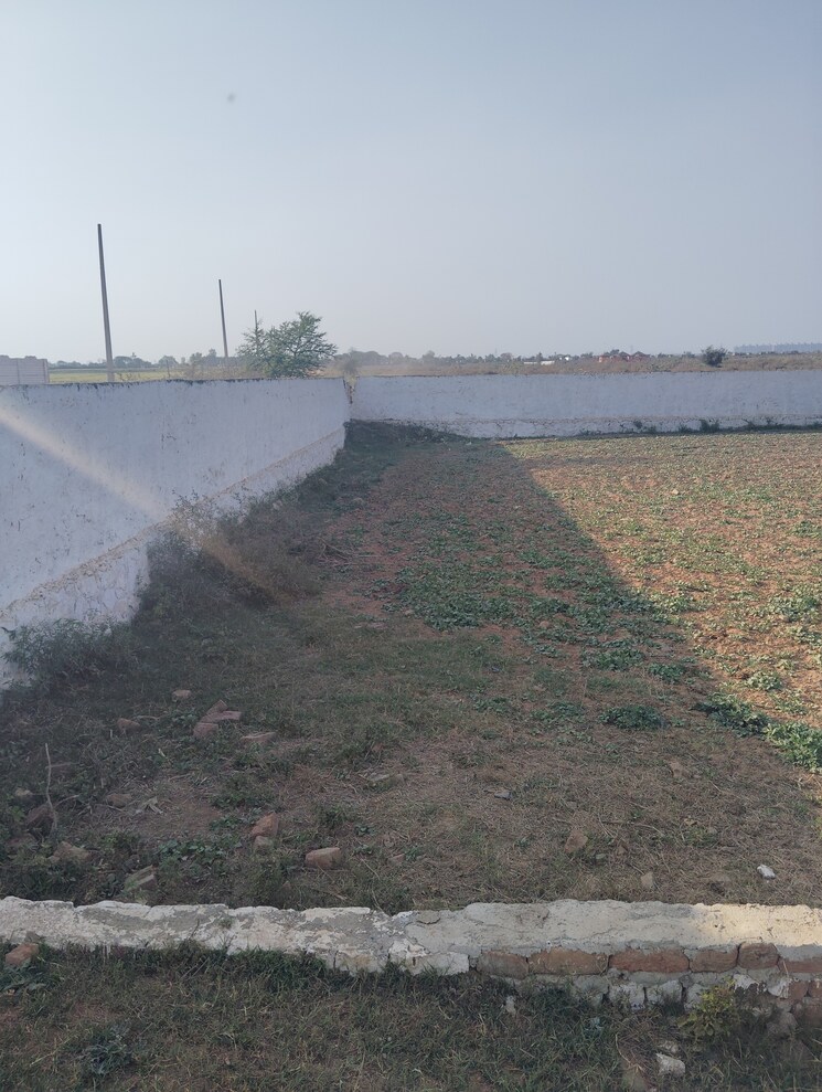 undefined, badkhal village  450 Sq.Ft. Plot In Badkhal Village Faridabad 8357680