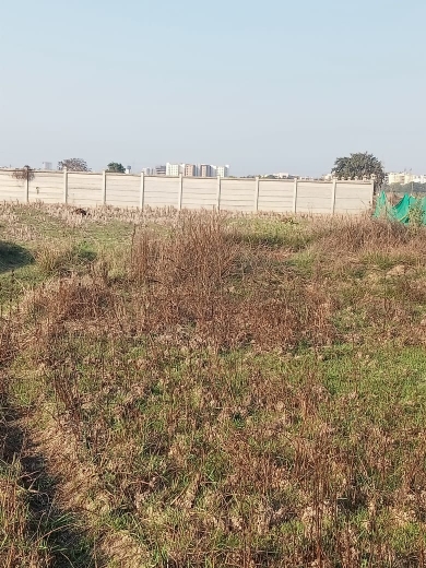 Plot For Sale in Aiginia