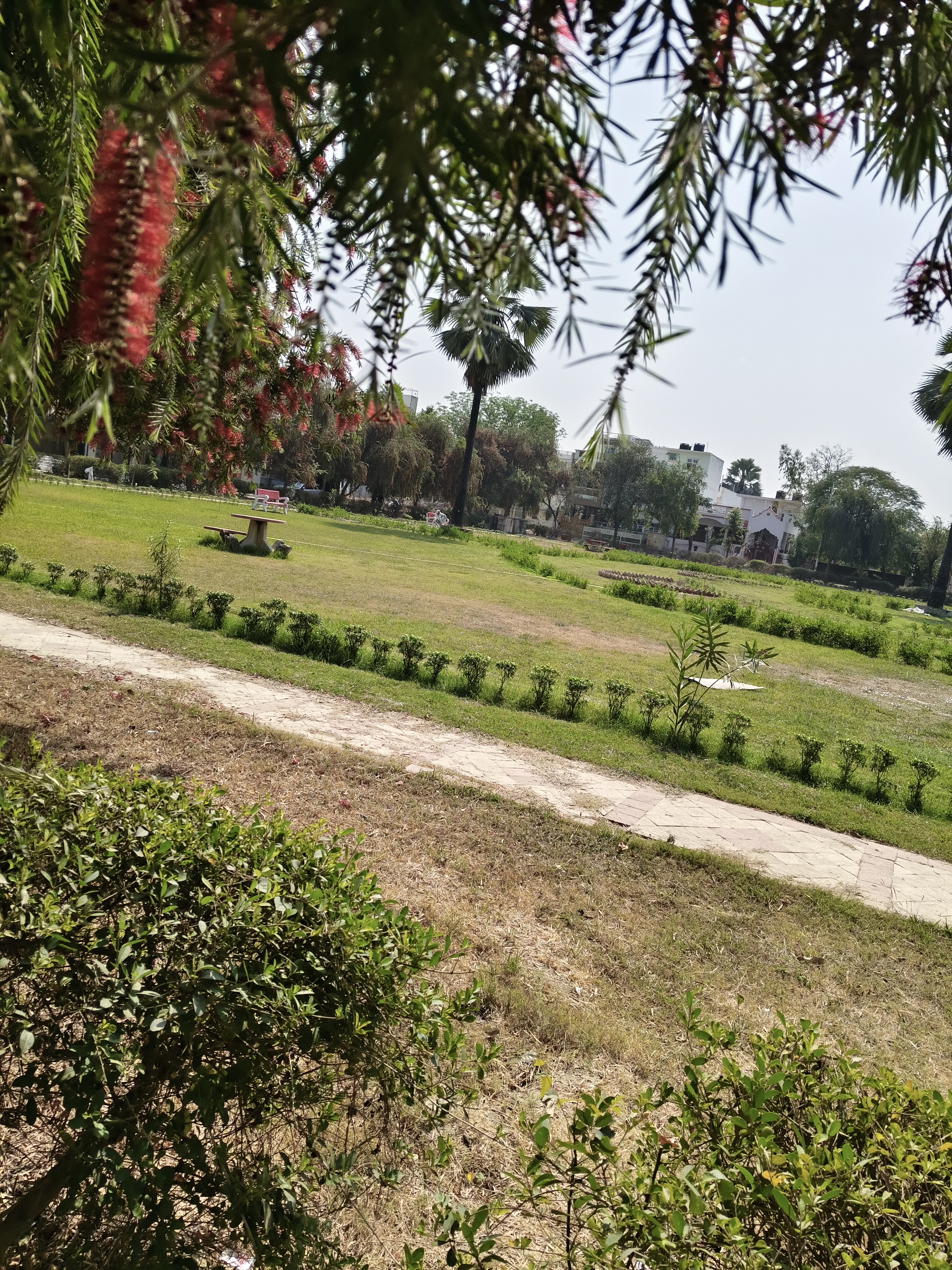 1.5 BHK + Pooja Room,Study Room 2152 Sq.Ft. Independent House in Omaxe City