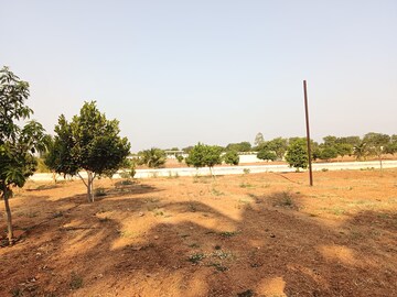Plot Area in  Land at Shamirpet – for Sale