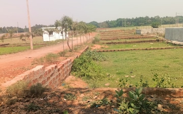 Plot For Sale in Padhansahi