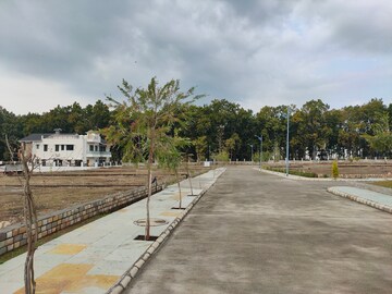 Plot Area in  Plot at Paundha – for Sale