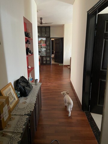 3 BHK Apartment For Rent in Omaxe The Nile, Sector 49