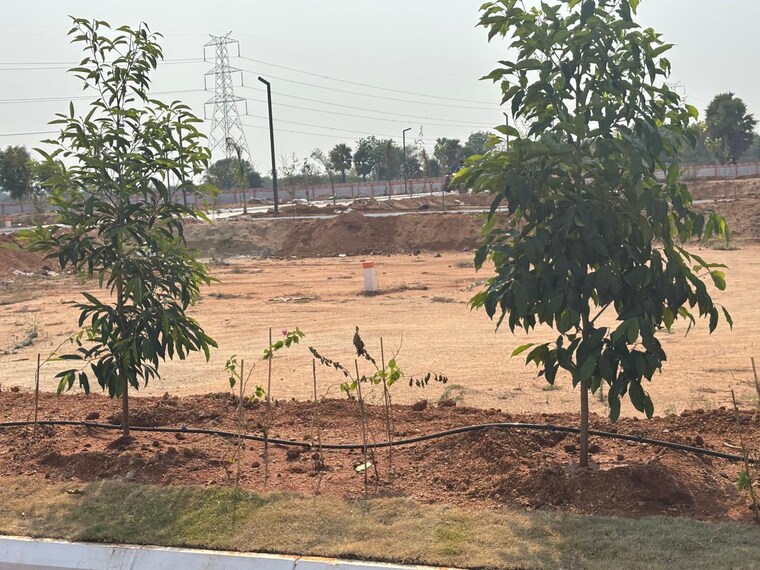 undefined, aduri-spring-city  121 Sq.Yd. Plot In Shadnagar Hyderabad 8360353