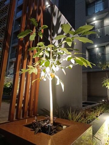 Living Room in 4 BHK Apartment at Vesu – for Sale