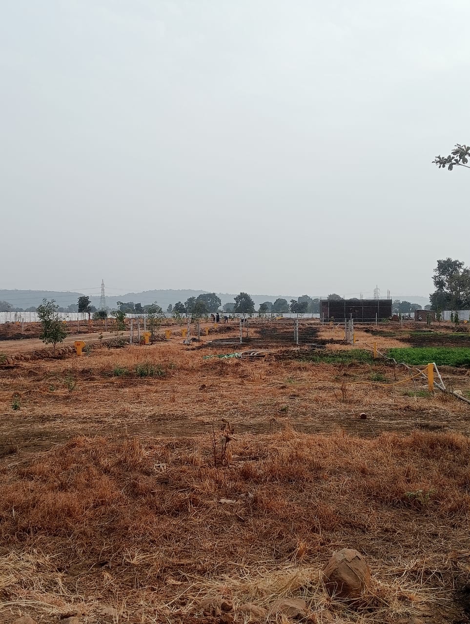 Plot For Sale in Balaji Greenz