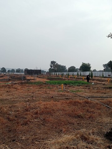 Plot Area in  Plot at Barela Road – for Sale