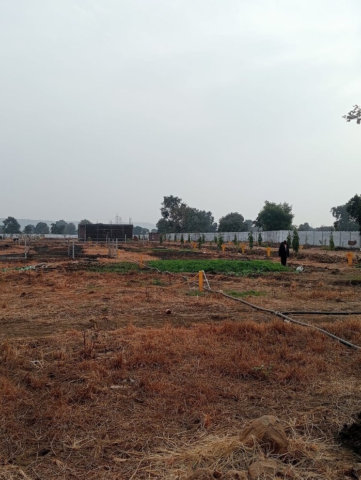 undefined, barela road  1000 Sq.Ft. Plot In Barela Road Jabalpur 8360419