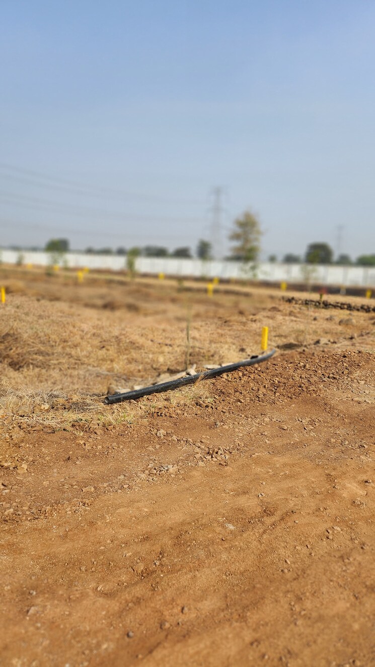 undefined, barela road  1000 Sq.Ft. Plot In Barela Road Jabalpur 8360419