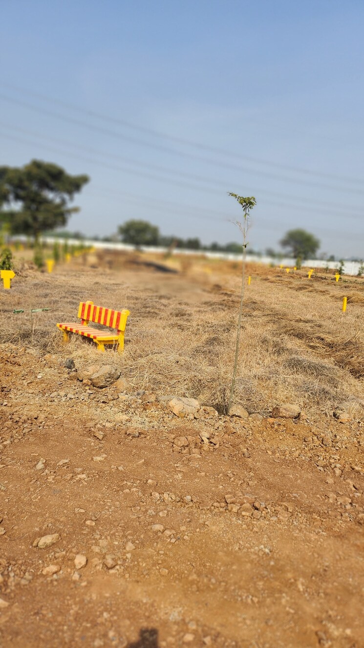 Exterior View, barela road  1000 Sq.Ft. Plot In Barela Road Jabalpur 8360419