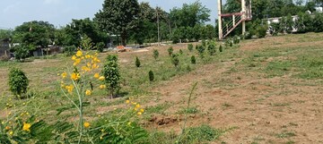Plot Area in  Plot at Barela Road – for Sale