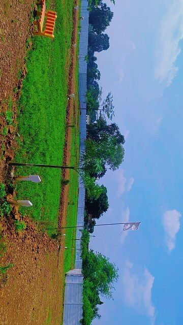  Plot – Exterior View View at Barela Road - for Sale