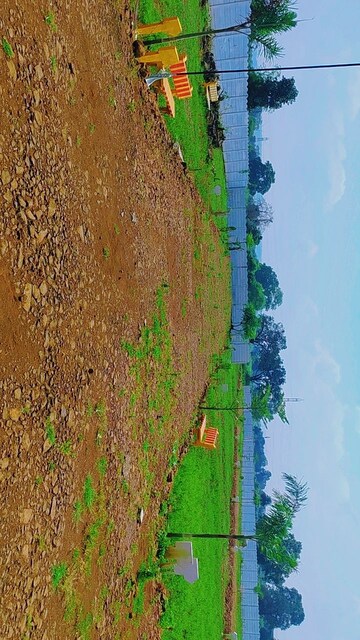  Plot – Exterior View View at Barela Road - for Sale