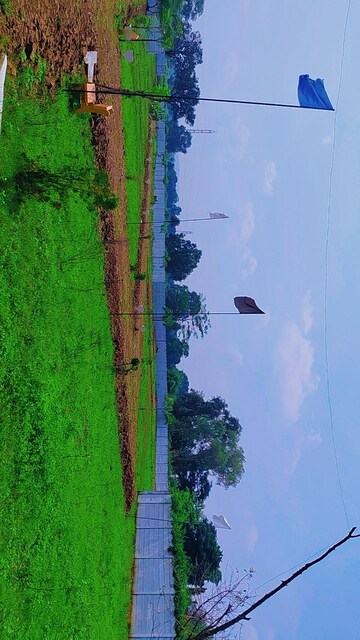  Plot – Exterior View View at Barela Road - for Sale