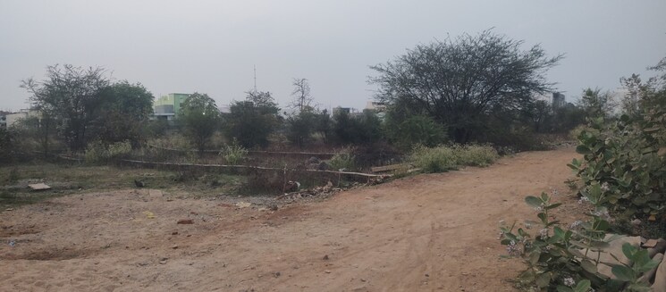 undefined, mopka  1100 Sq.Ft. Plot In Mopka Bilaspur 8360529