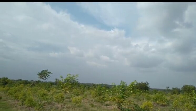 undefined, sangareddy Commercial Land 605 Sq.Yd. In Sangareddy Hyderabad 8360596