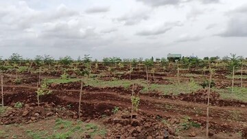 Plot Area in  Land at Sangareddy – for Sale
