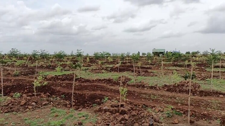 undefined, sangareddy Commercial Land 605 Sq.Yd. In Sangareddy Hyderabad 8360596