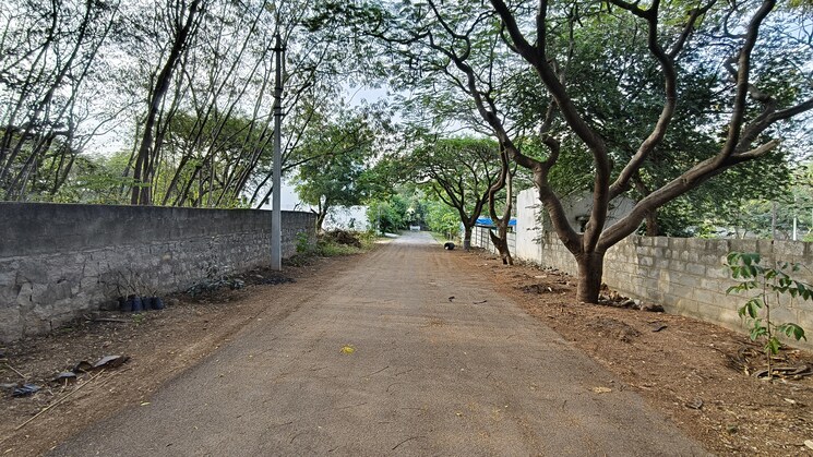 undefined, legend-chimes  500 Sq.Yd. Plot In Kokapet Hyderabad 8360594