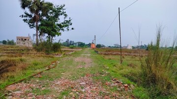 Plot Area in  Plot at Rasapunja – for Sale