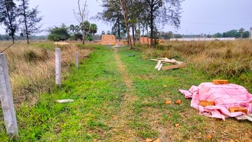 Plot Area in  Plot at Rasapunja – for Sale