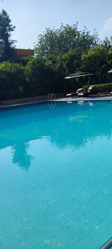 Swimming Pool in 3 BHK Apartment at Omaxe The Nile, Sector 49 – for Rent