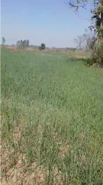 Plot Area in  Land at Mahadev Puram – for Sale