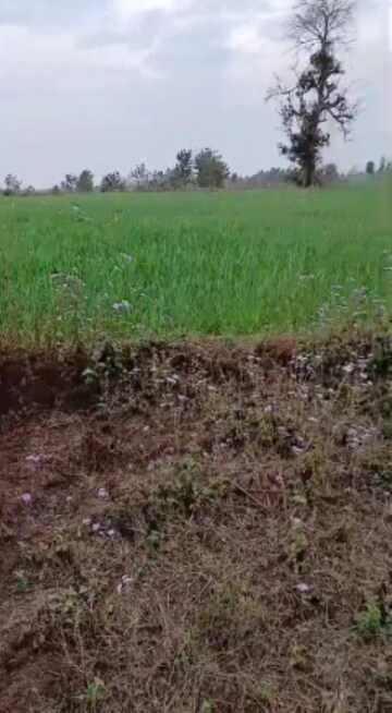 Plot Area in  Land at Mahadev Puram – for Sale