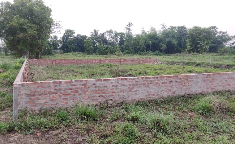 undefined, joka  1440 Sq.Ft. Plot In Joka Kolkata 8360968