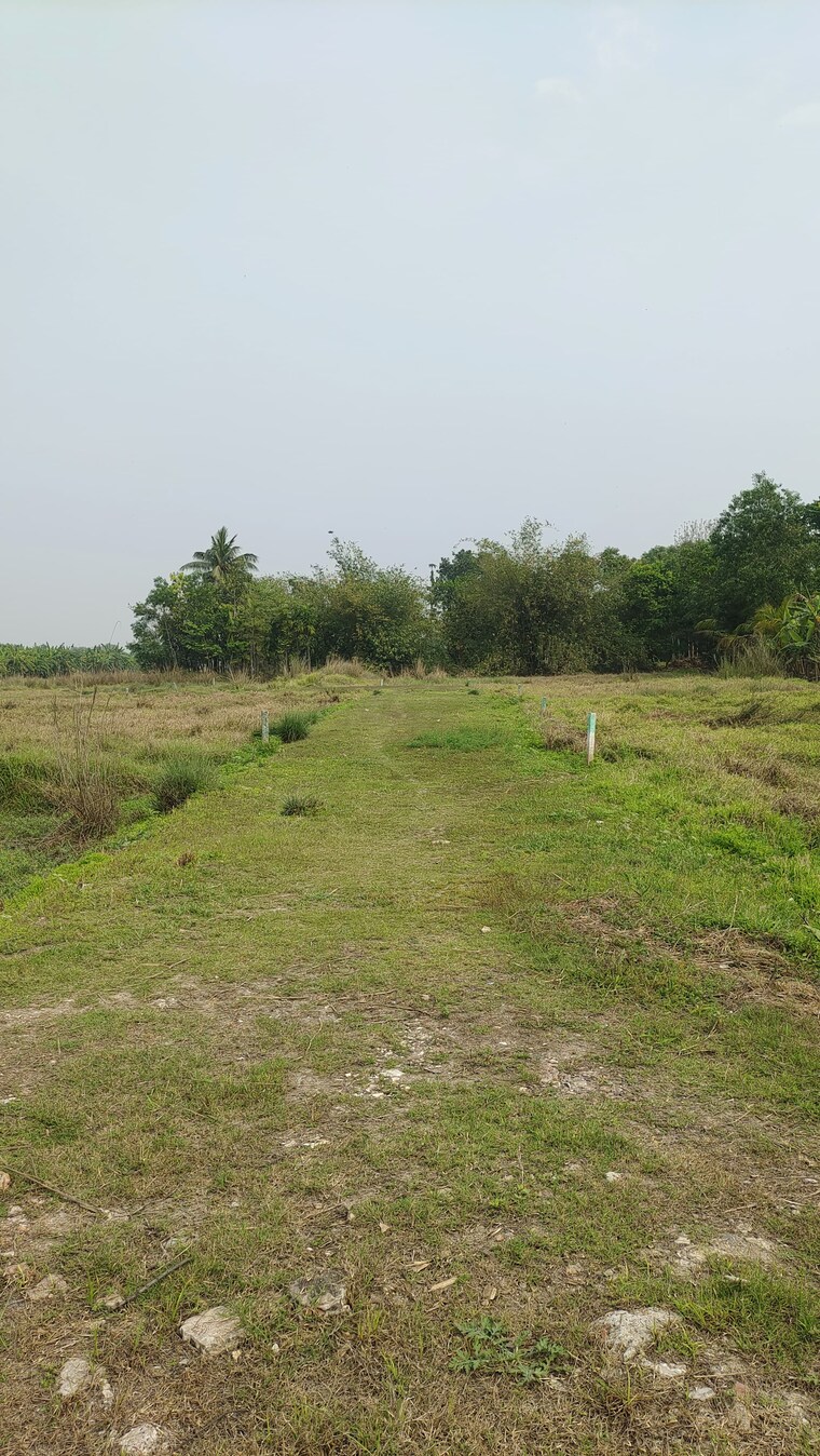 undefined, joka  1440 Sq.Ft. Plot In Joka Kolkata 8360968