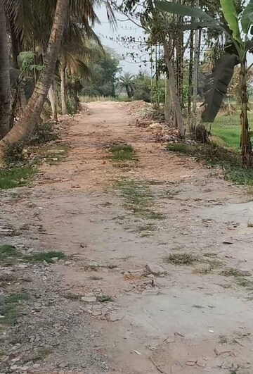 Plot Area in  Plot at Joka – for Sale