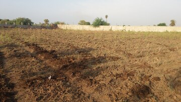 Plot For Resale in Sector 105 Noida  8361275