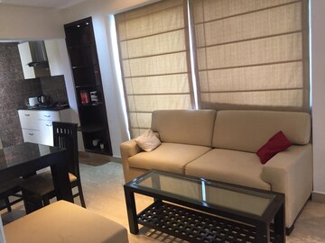 Living Room in 1 BHK Apartment at Bhai Randhir Singh Nagar – for Rent