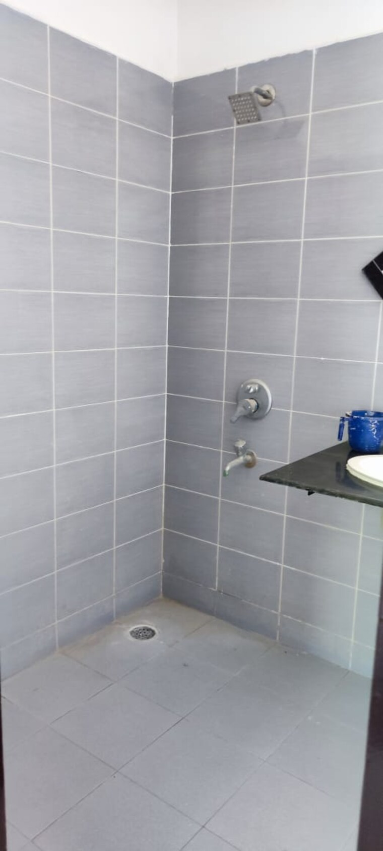 Bathroom, parklands 3 Bedroom 225 Sq.Yd. Independent House In Sector 85 Faridabad 8361412