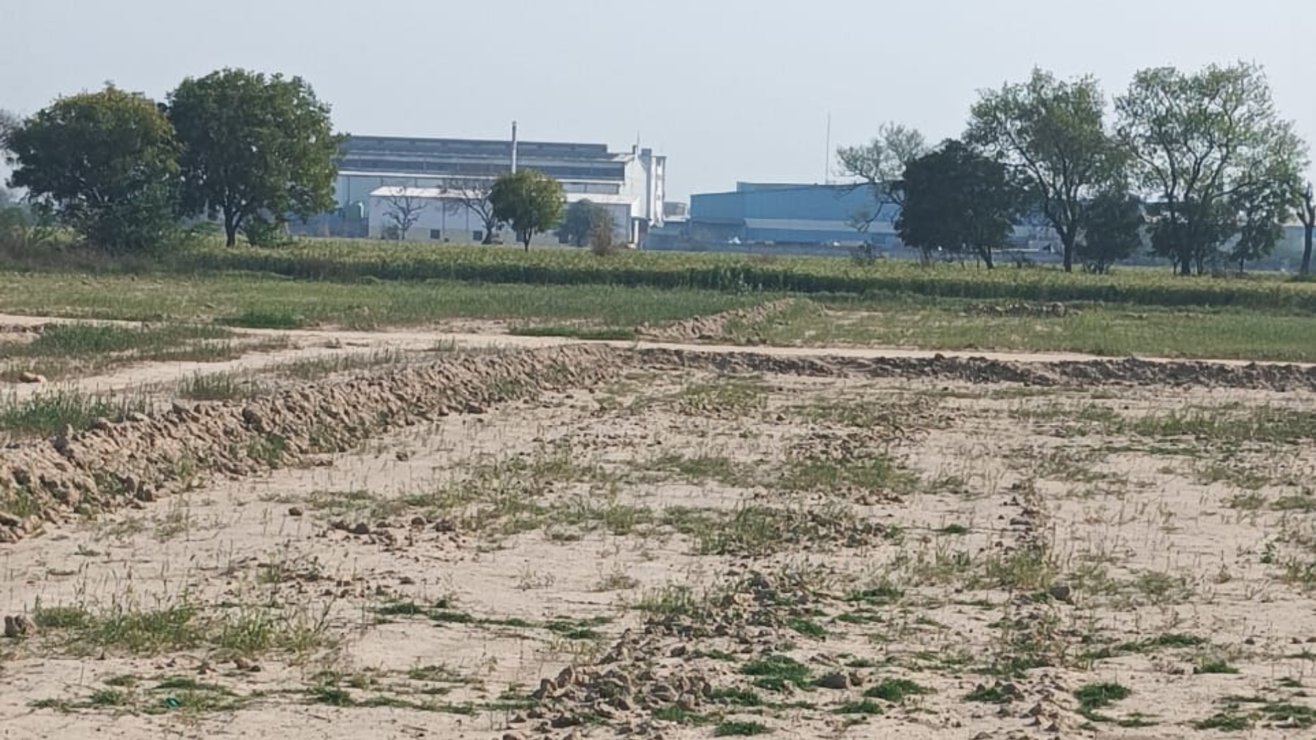 Plot For Sale in Prithla Industrial Zone