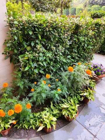 4 BHK Apartment – Garden View at Purvanchal Silver City II, Pi Greater Noida - for Sale
