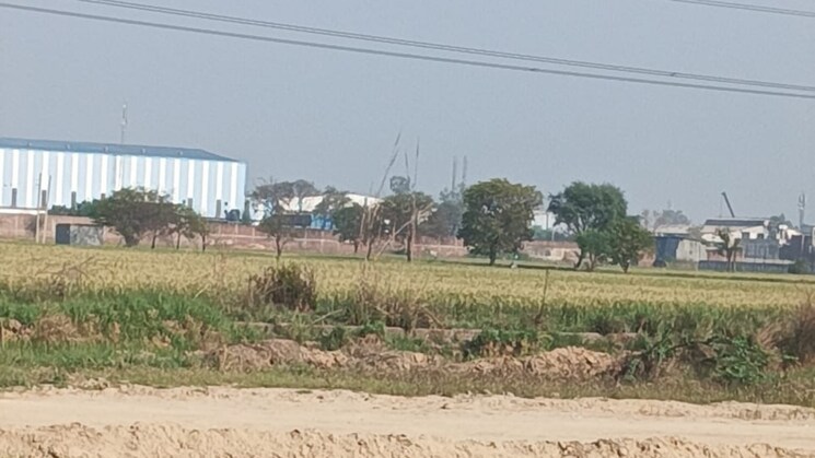 undefined, pirthla  1210 Sq.Ft. Plot In Pirthla Palwal 8361596
