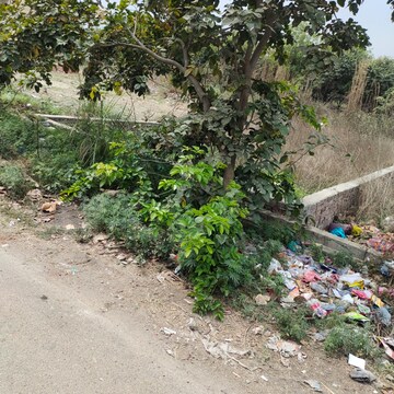 Plot Area in  Plot at Sector 108 – for Sale