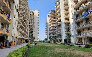 3 BHK Apartment For Sale in Optus Golden Tulip, Sector 63