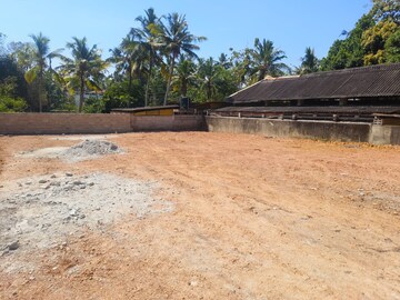 Plot Area in  Plot at Pipinmoodu – for Sale