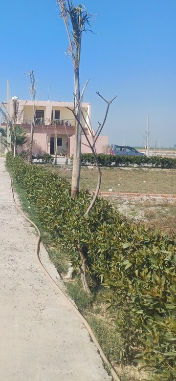 Plot Area in  Plot at Jewar – for Sale