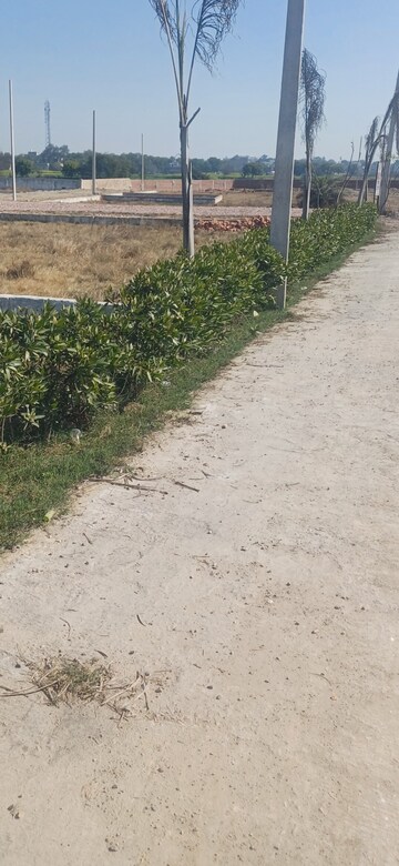 Plot Area in  Plot at Jewar – for Sale