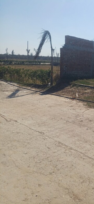 Plot Area in  Plot at Jewar – for Sale