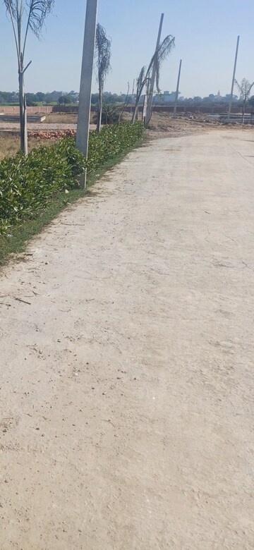 Plot Area in  Plot at Jewar – for Sale