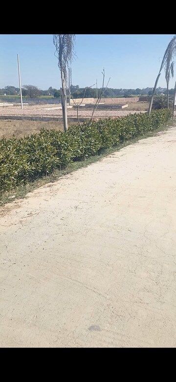  Plot For Sale in Jewar